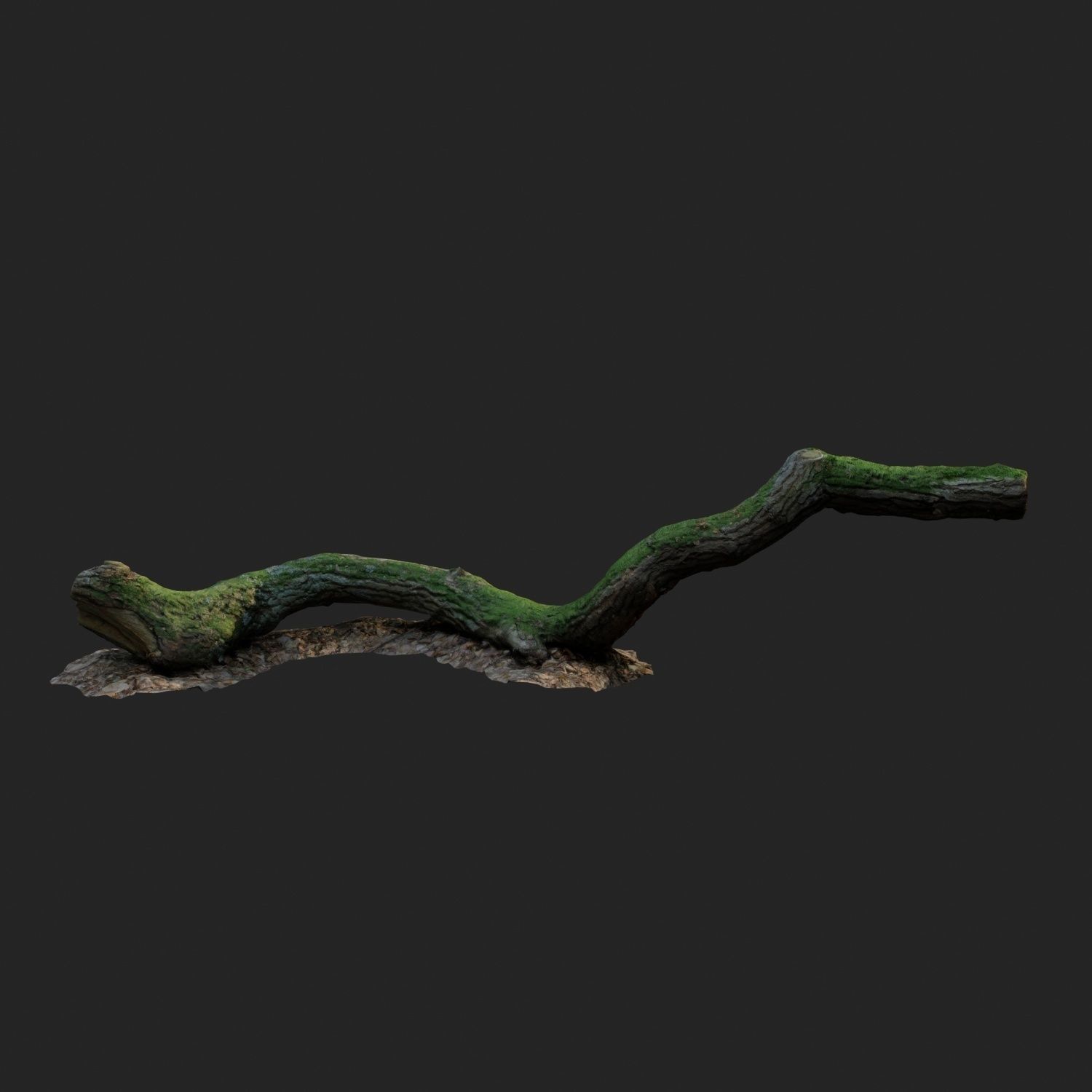 3d scanned nature forest stuff 003 Low-poly 3D model_2
