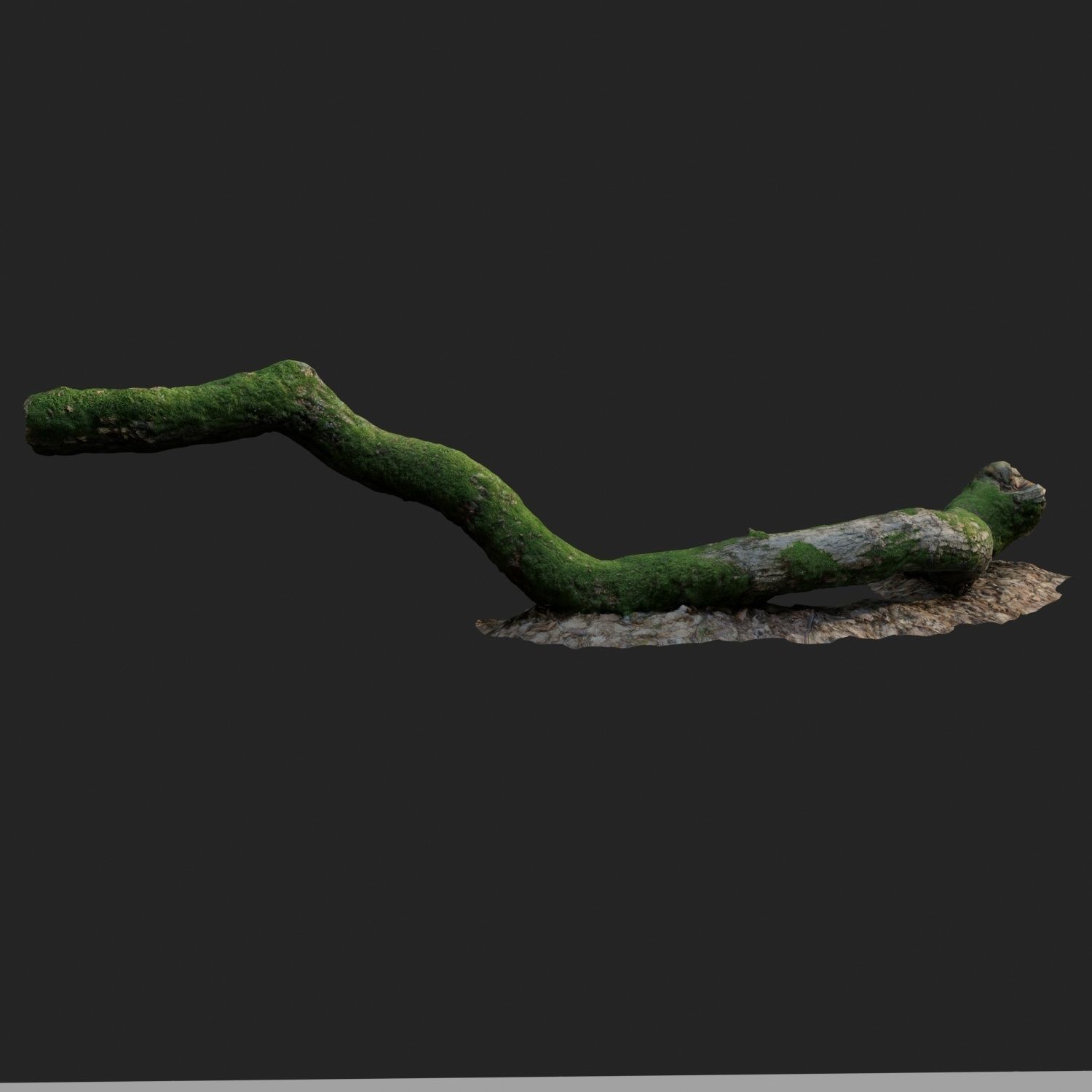 3d scanned nature forest stuff 003 Low-poly 3D model_1