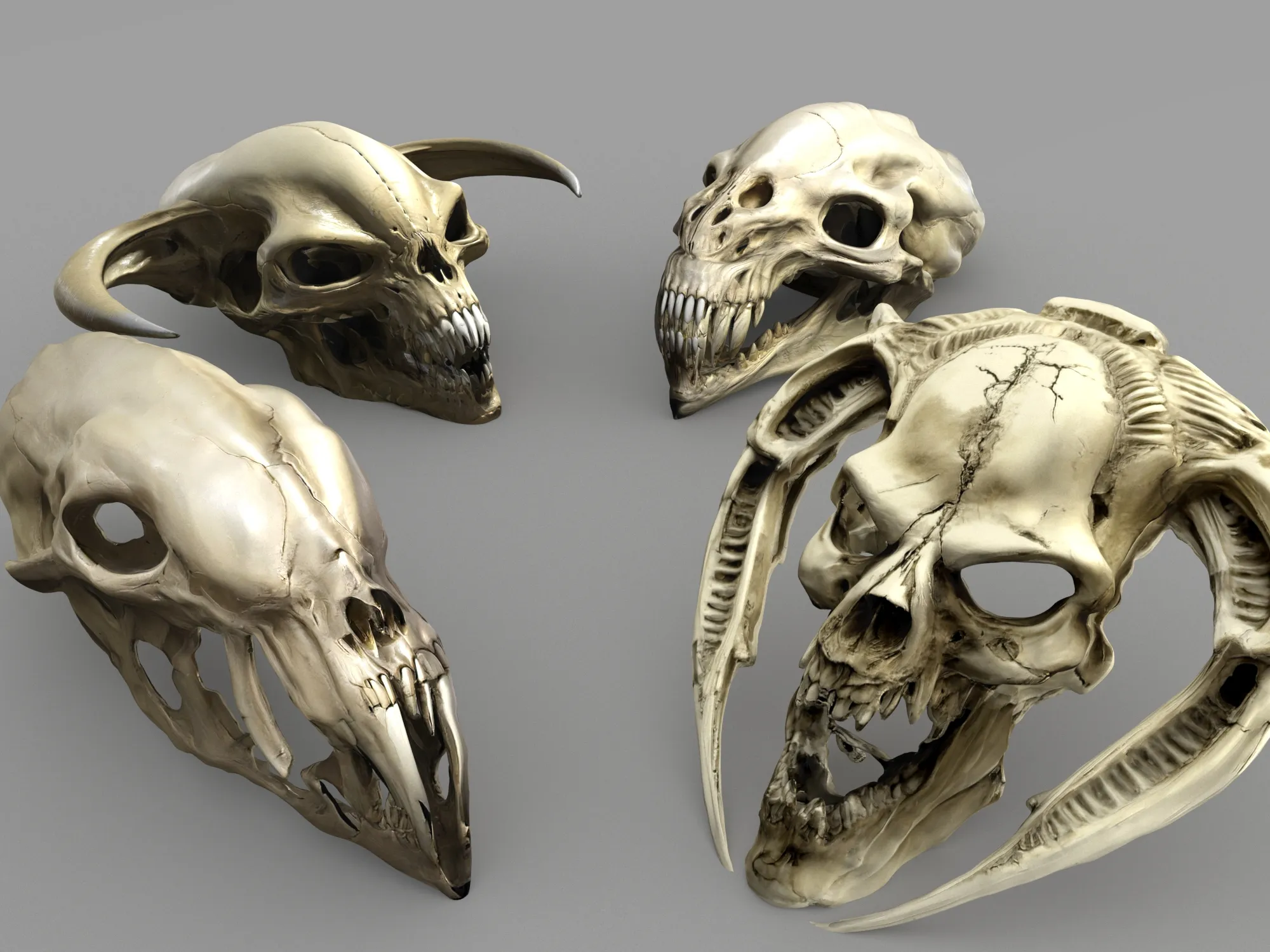 Prehistoric predator skulls Low-poly 3D model