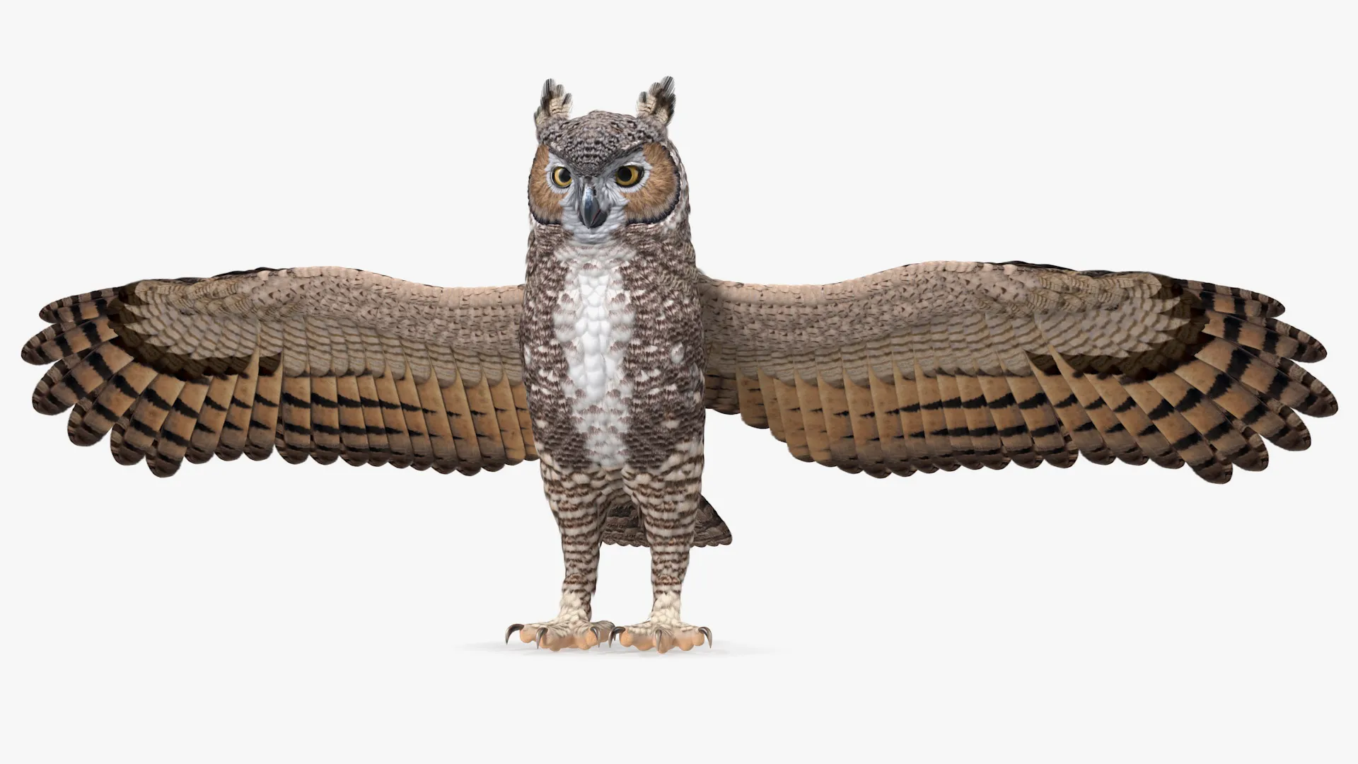Great Horned Owl Rigged 3D model