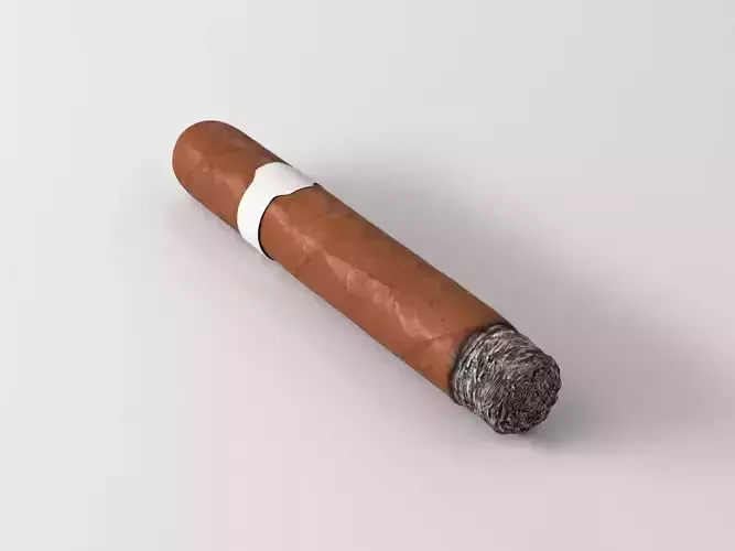 Cigar lit 3D model