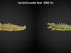 3D model Pool Float Pack VR / AR / low-poly | CGTrader
