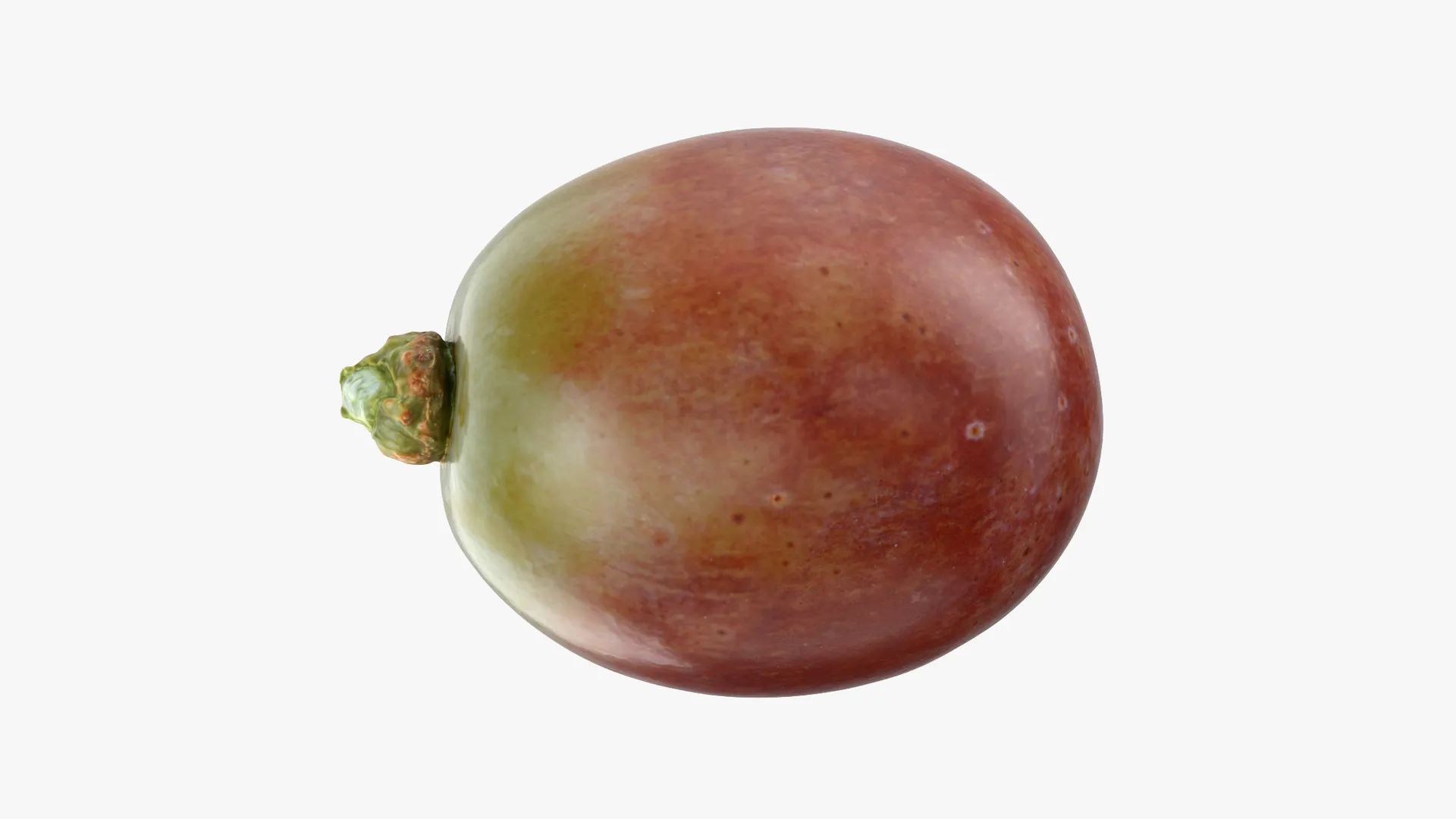 Grape 03 - 3D Scanned Low-poly 3D model