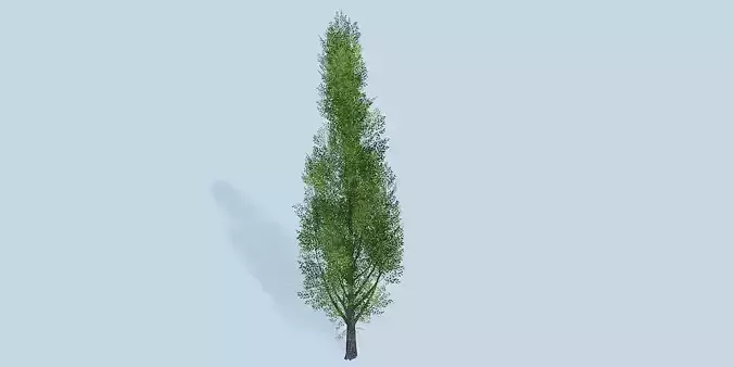 Lowpoly 3Dmodel tree VR AR game 3LOD number7