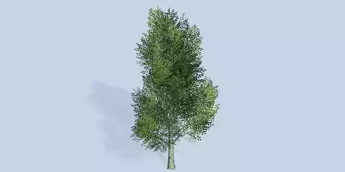 Lowpoly 3Dmodel tree VR AR game 3LOD number8
