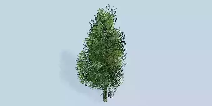 Lowpoly 3Dmodel tree VR AR game 3LOD number10