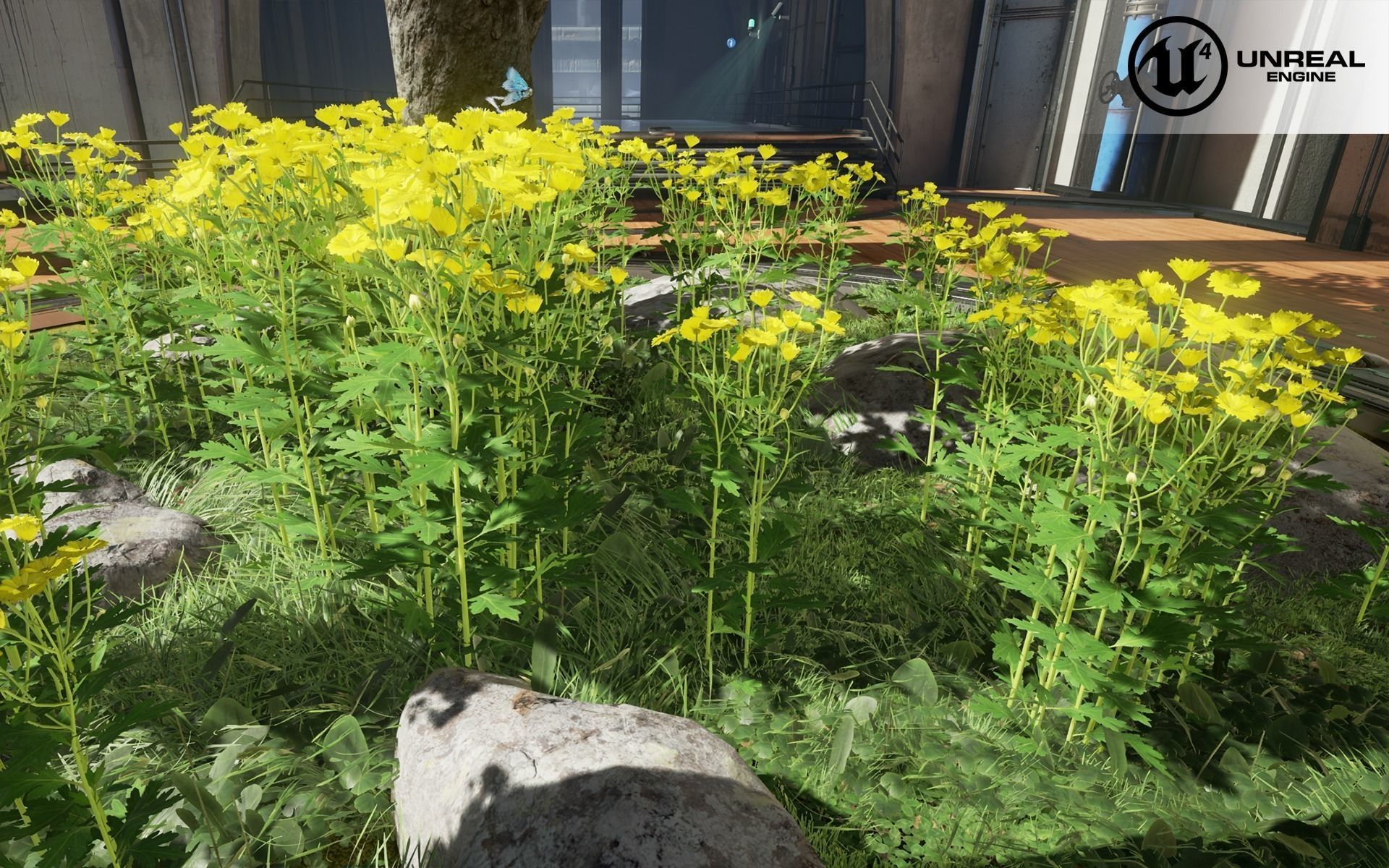 Chrysanthemum dandelion flowers Low-poly 3D model_3