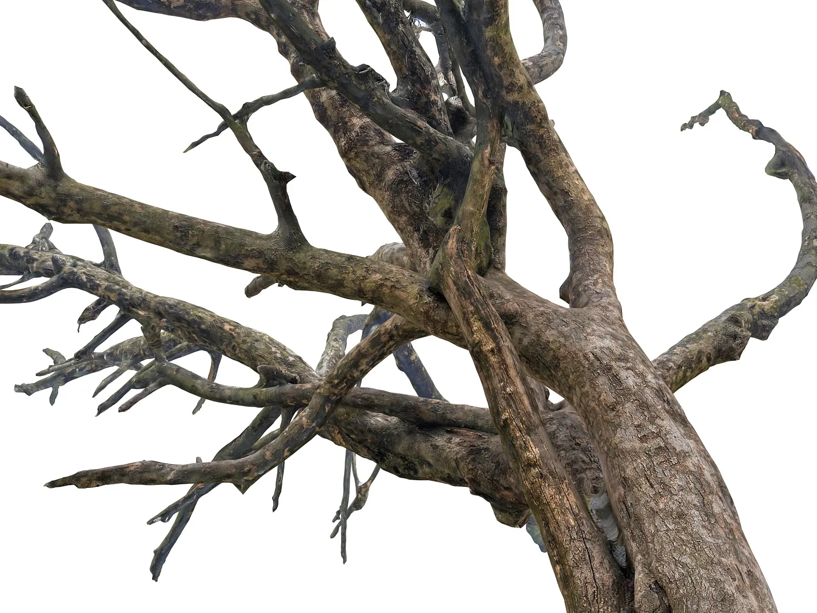 Old Forest ULTRA HD Low-poly 3D model