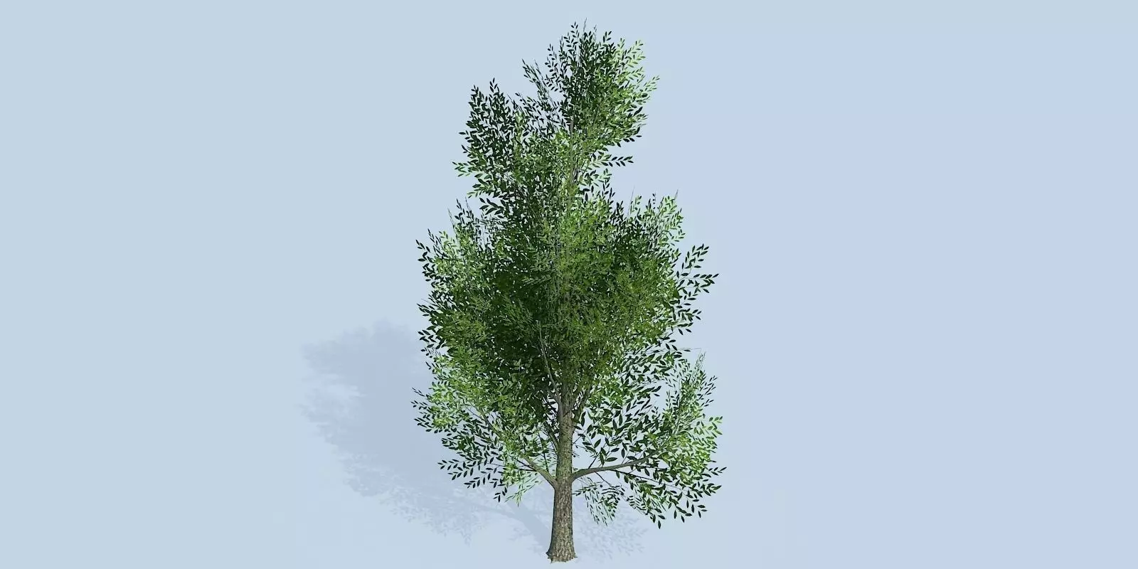 Lowpoly 3Dmodel tree VR AR game 3LOD number11 Low-poly 3D model_0