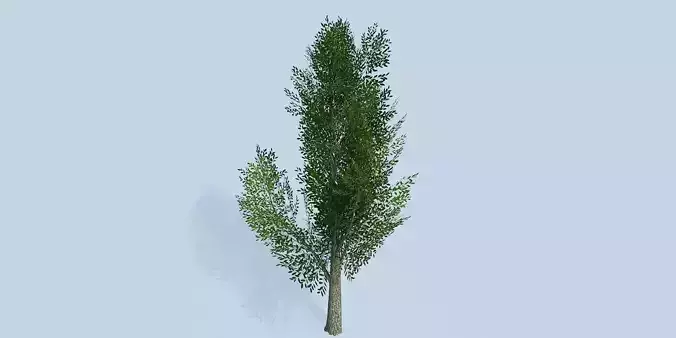 Lowpoly 3Dmodel tree VR AR game 3LOD number12