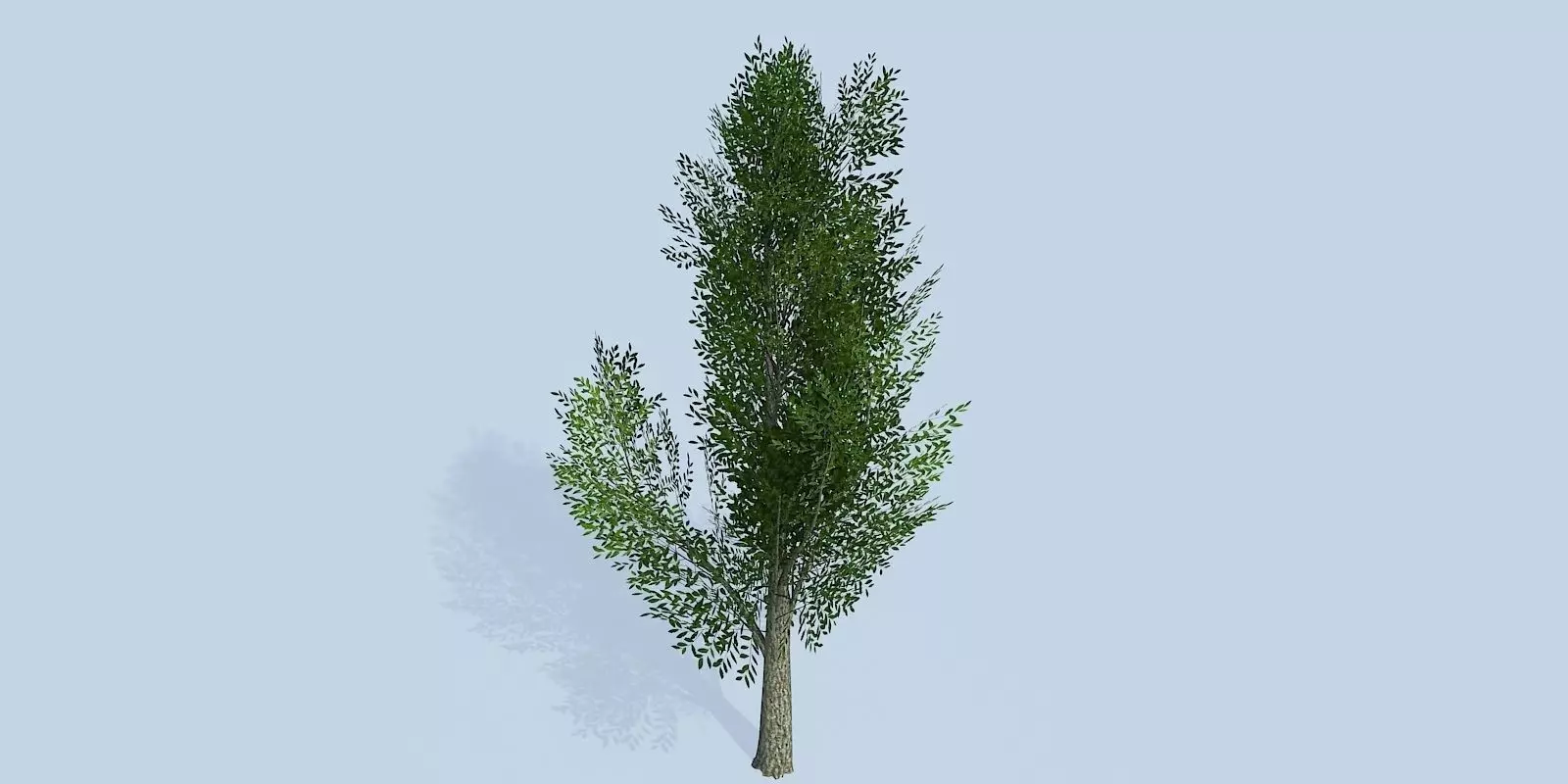 Lowpoly 3Dmodel tree VR AR game 3LOD number12 Low-poly 3D model_0