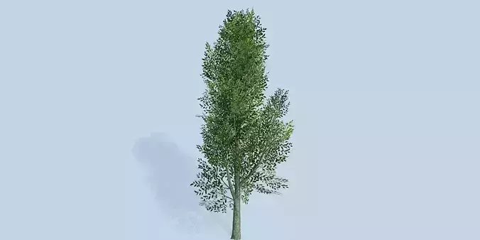 Lowpoly 3Dmodel tree VR AR game 3LOD number13