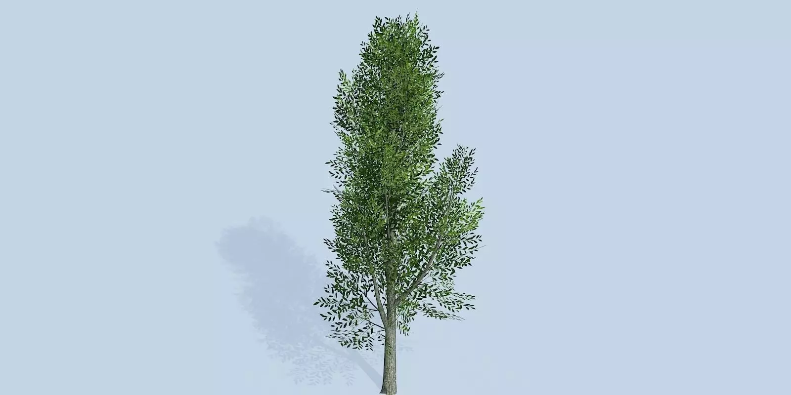 Lowpoly 3Dmodel tree VR AR game 3LOD number13 Low-poly 3D model_0