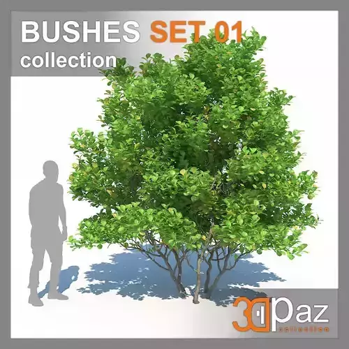 BUSHES SET 01