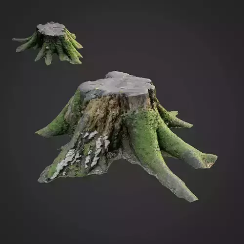 3d scanned nature tree stump 007