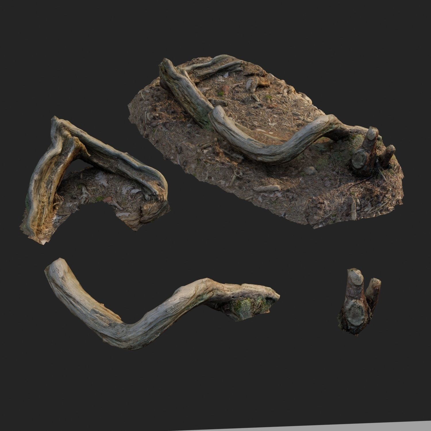 3d scanned nature forest stuff 005 Low-poly 3D model_1