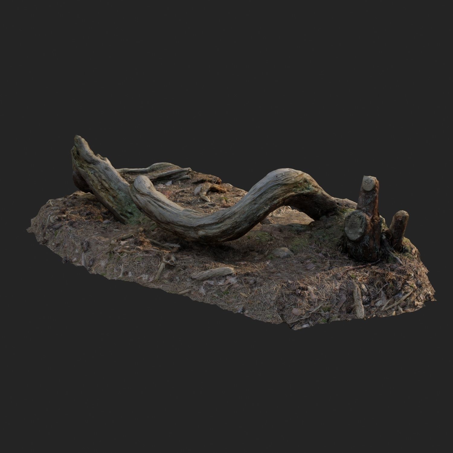 3d scanned nature forest stuff 005 Low-poly 3D model_2