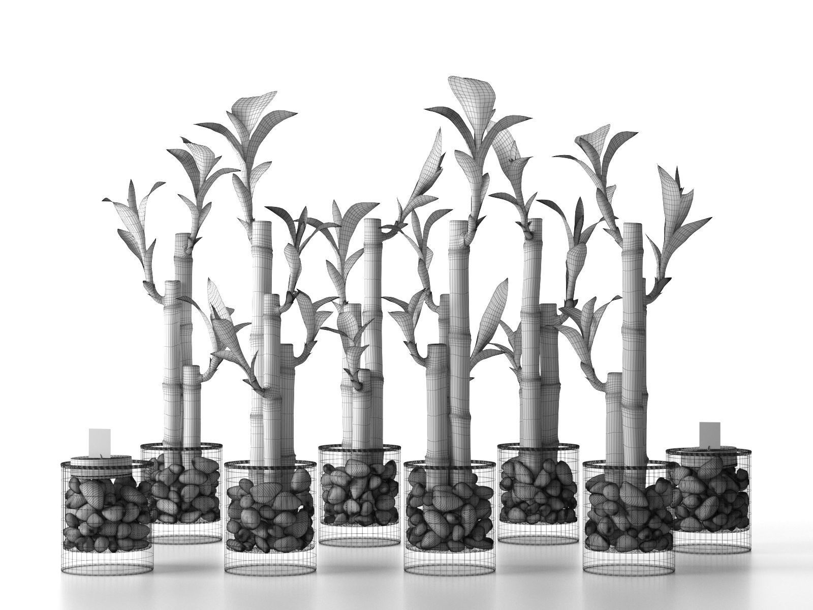 Lucky Bamboo Centerpiece 3D model_3