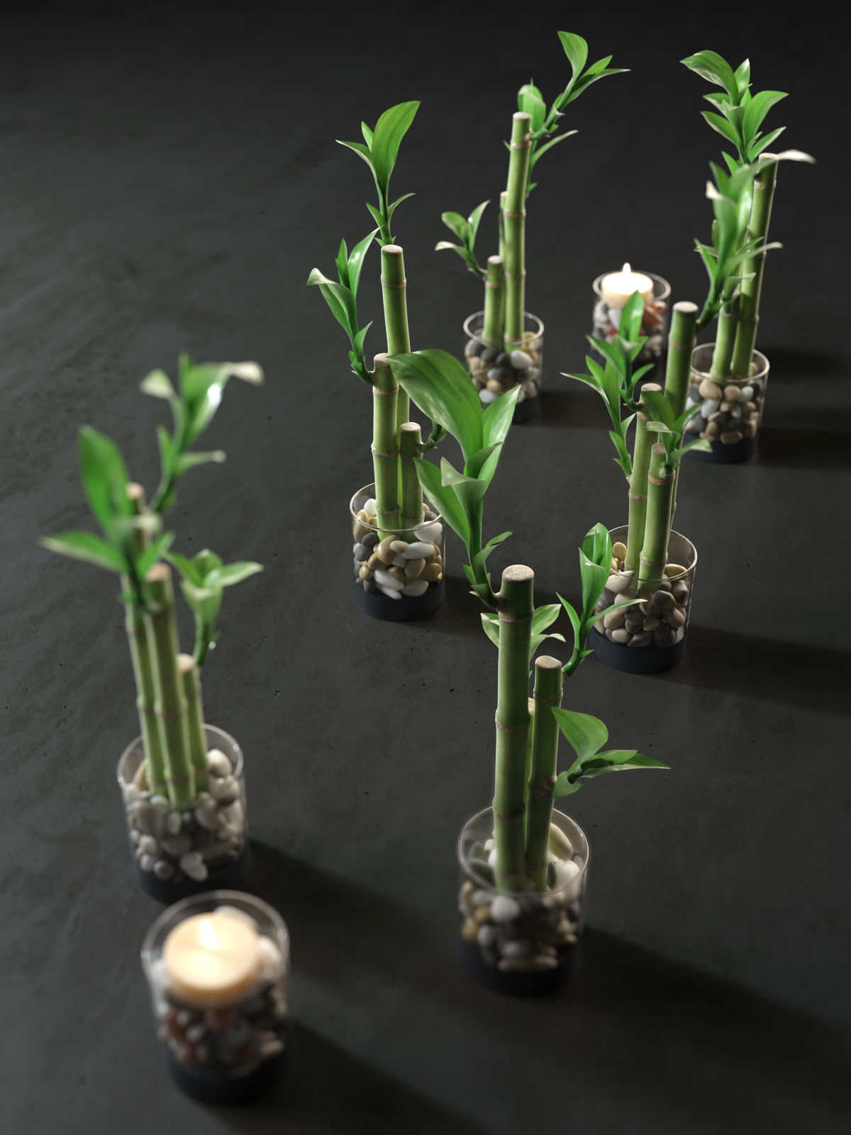 Lucky Bamboo Centerpiece 3D model_1
