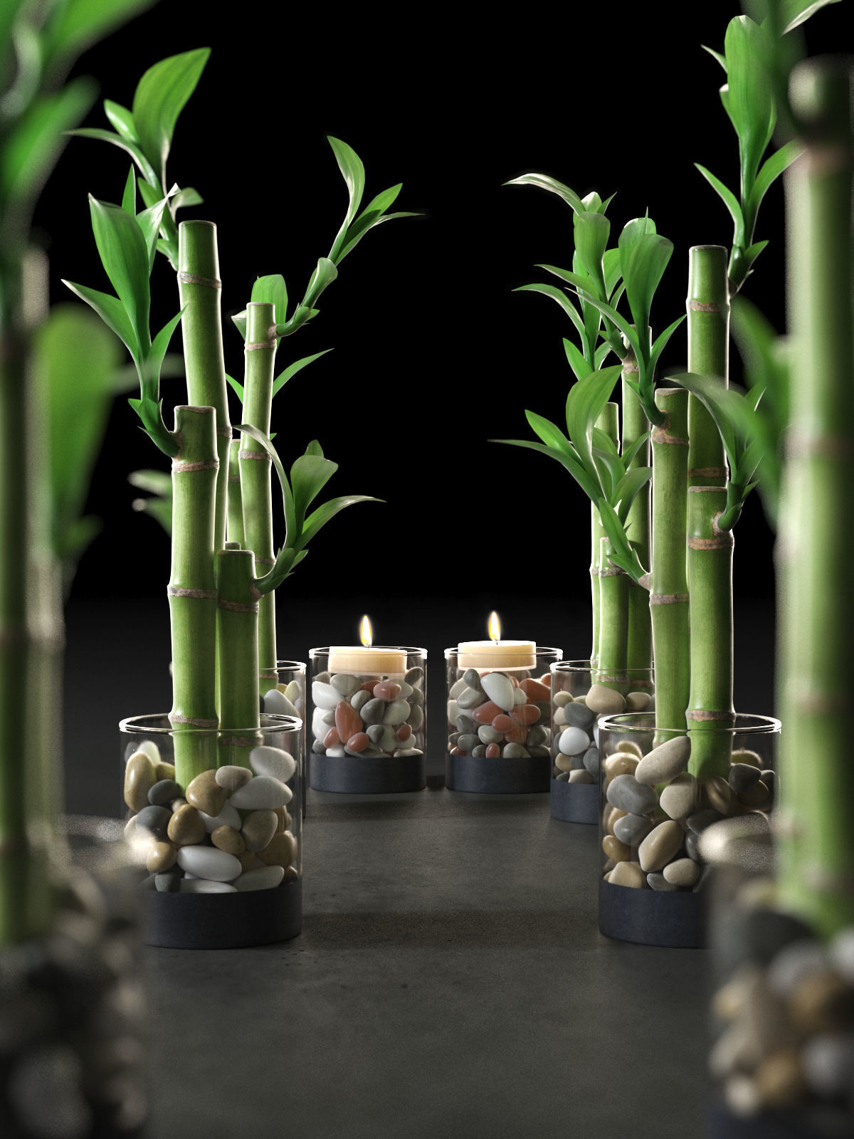 Lucky Bamboo Centerpiece 3D model_2
