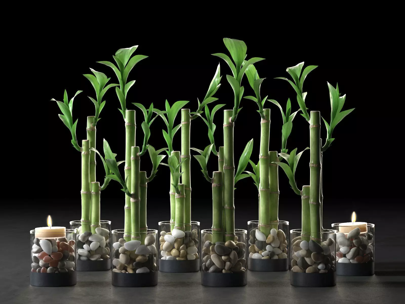 Lucky Bamboo Centerpiece 3D model_0