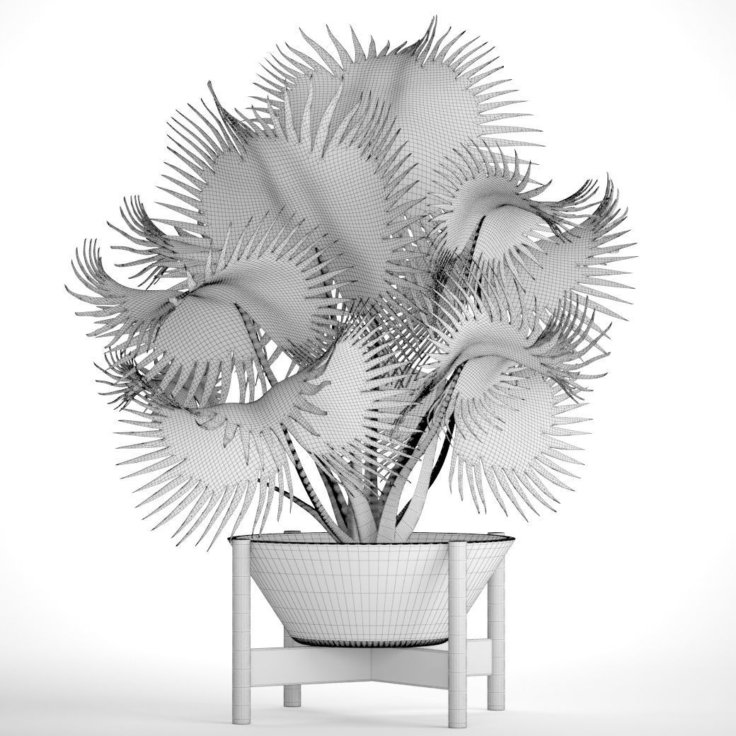 Palm tree 3D model_3