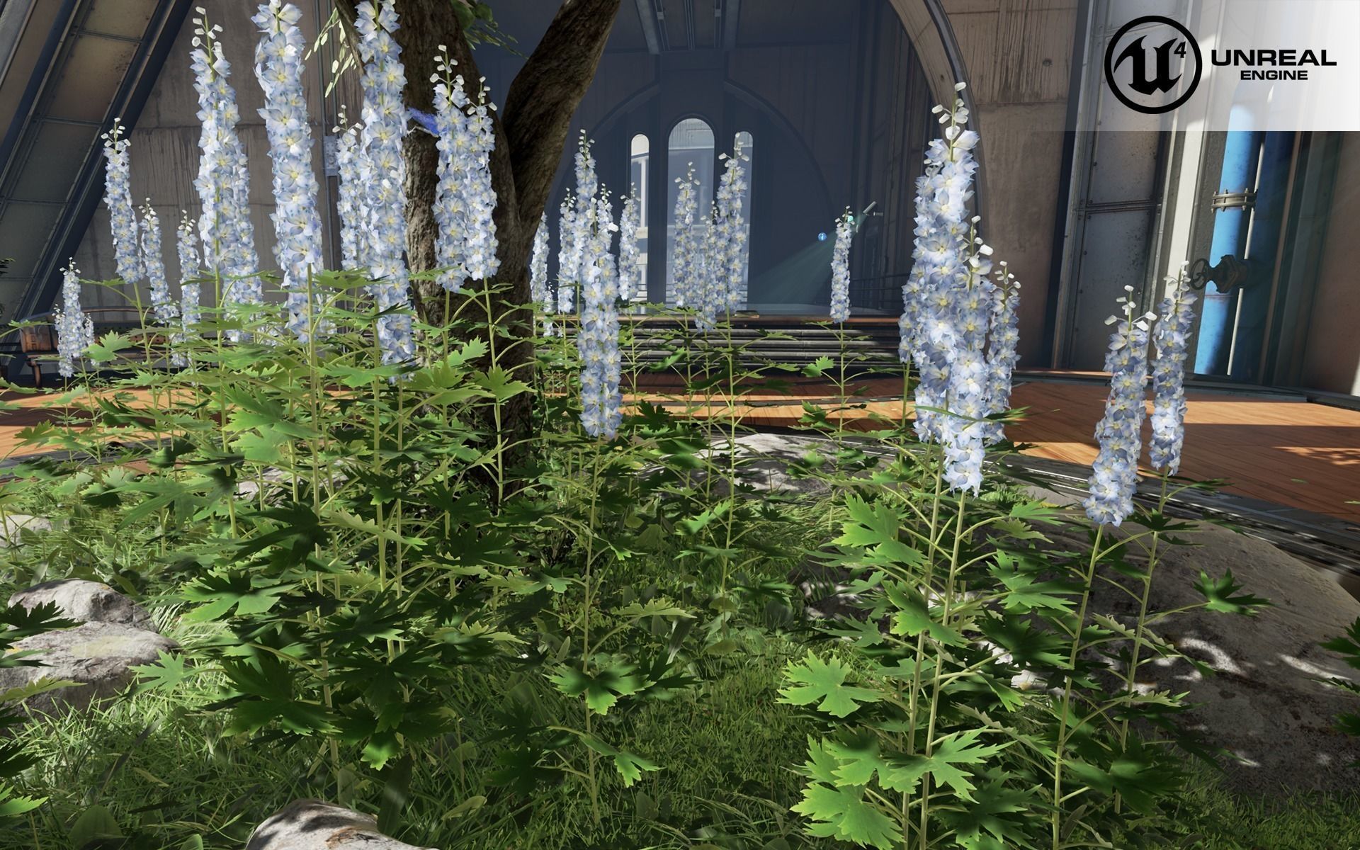 Delfinium universal plant Low-poly 3D model_3