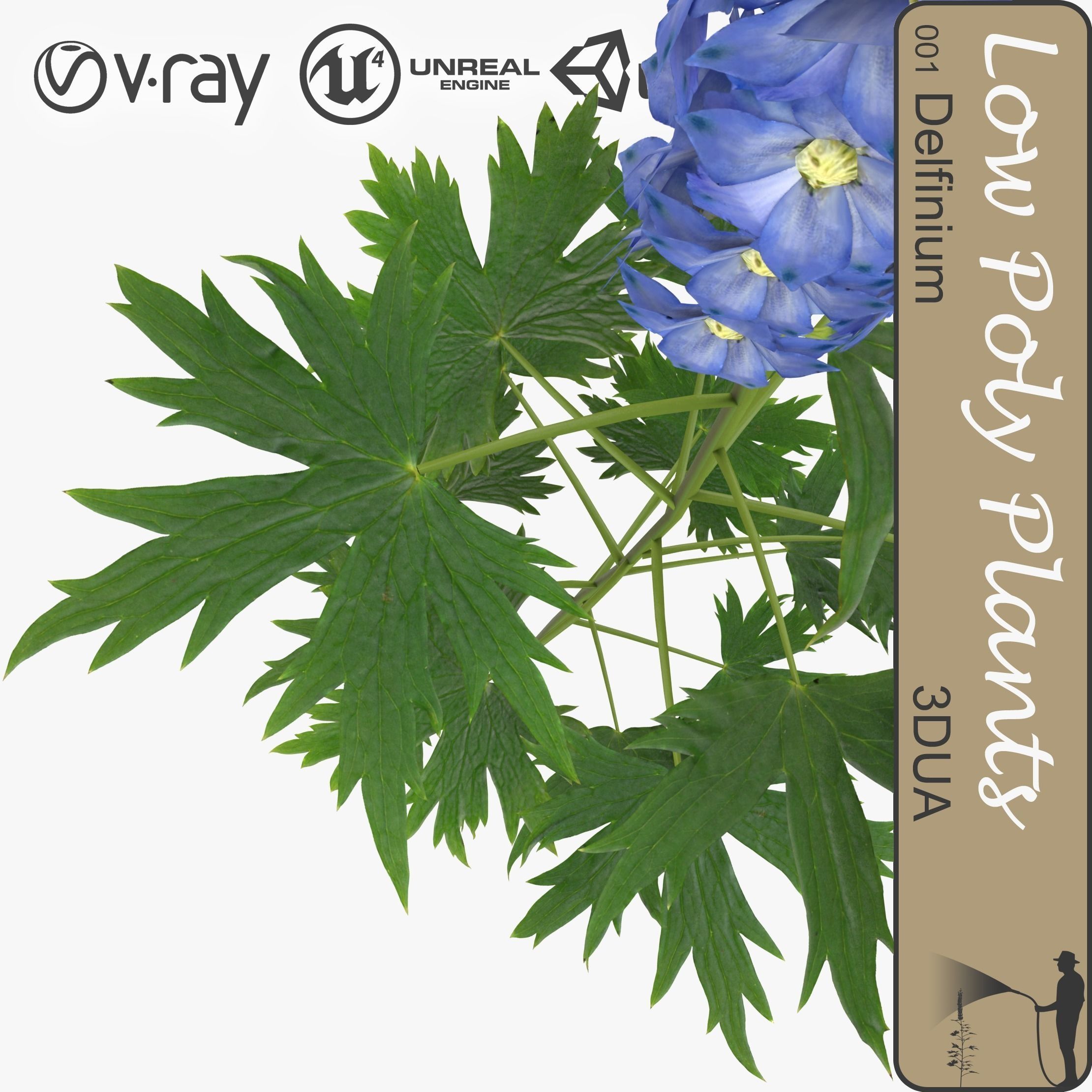 Delfinium universal plant Low-poly 3D model_0
