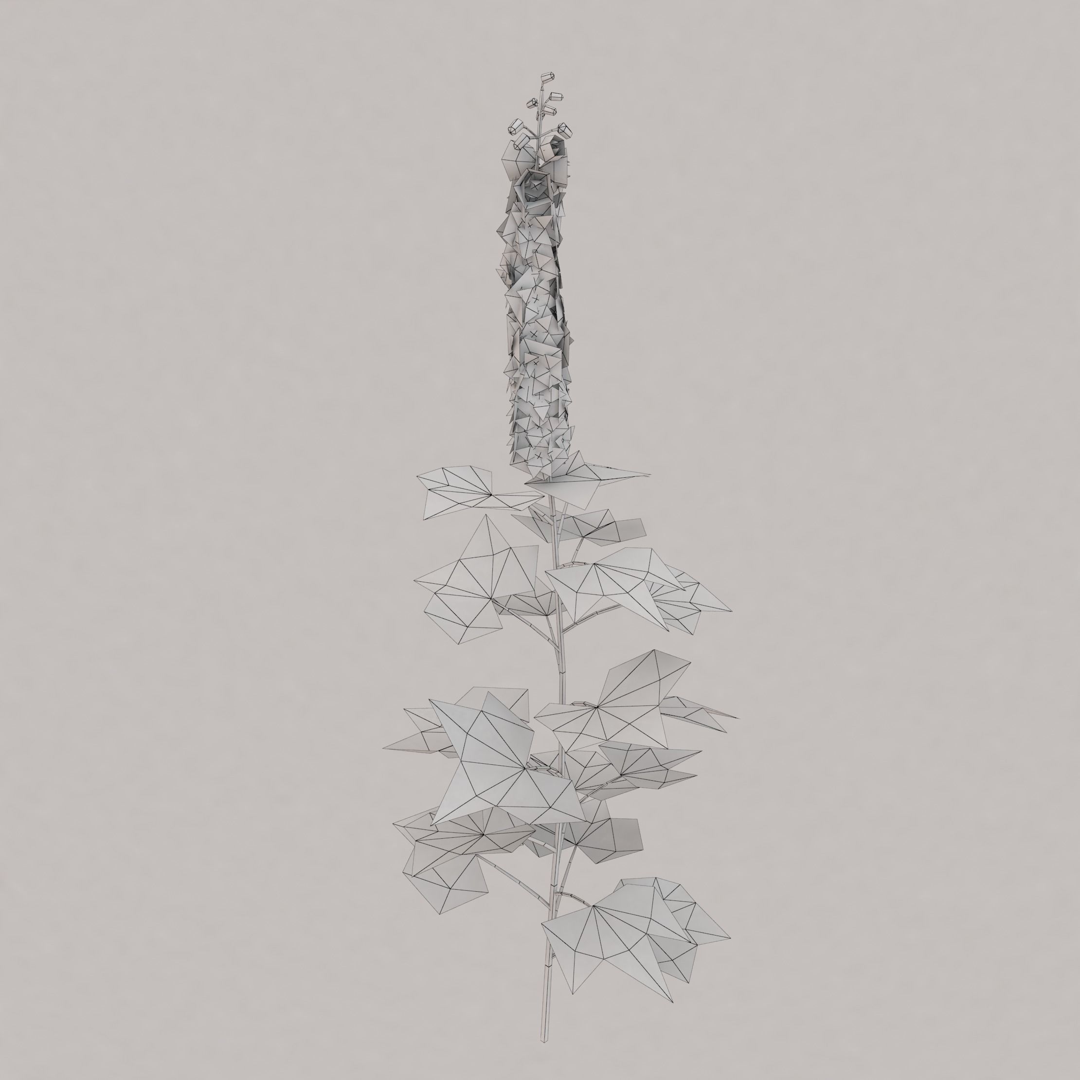 Delfinium universal plant Low-poly 3D model_1