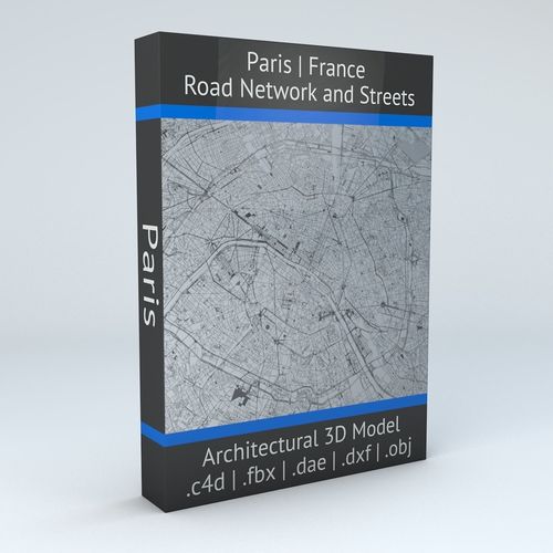Paris Road Network and Streets 3D model