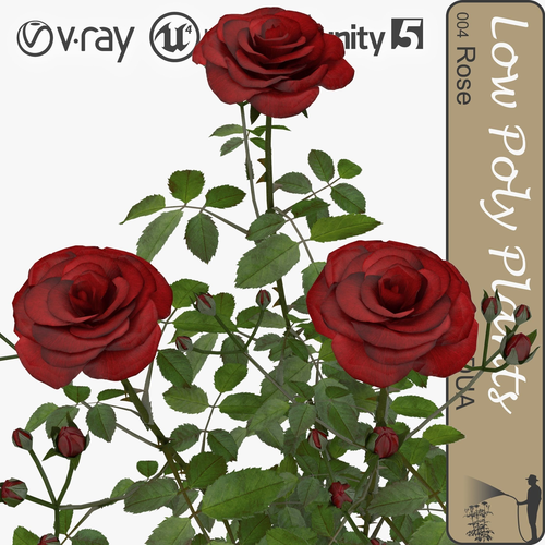 Roses universal plant Low-poly 3D model