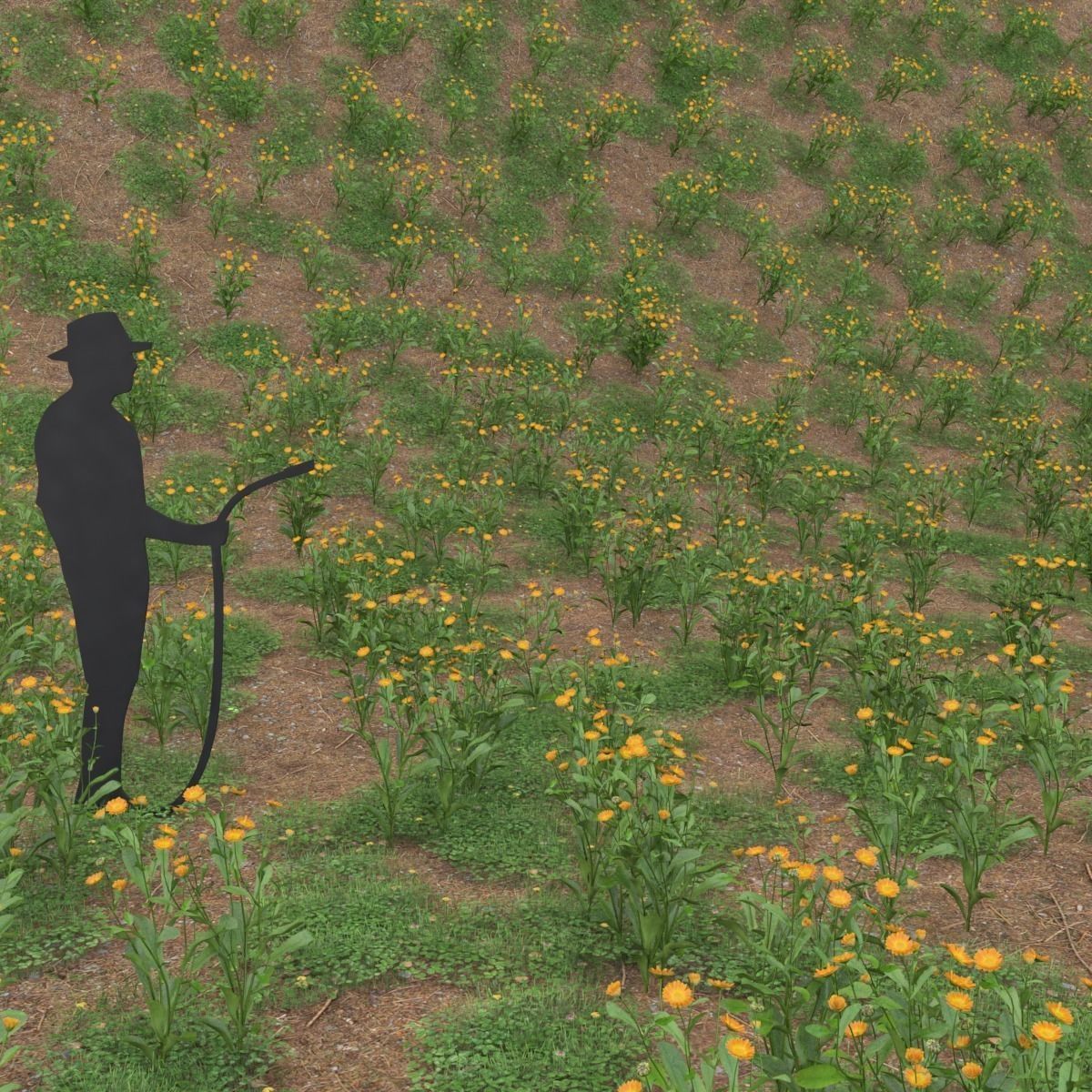 Calendula universal plant Low-poly 3D model_1