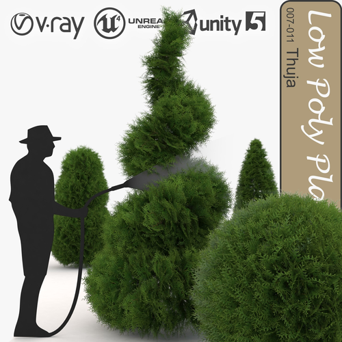 Thuja universal plant Low-poly 3D model