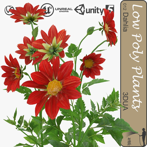 Dahlia universal plant Low-poly 3D model