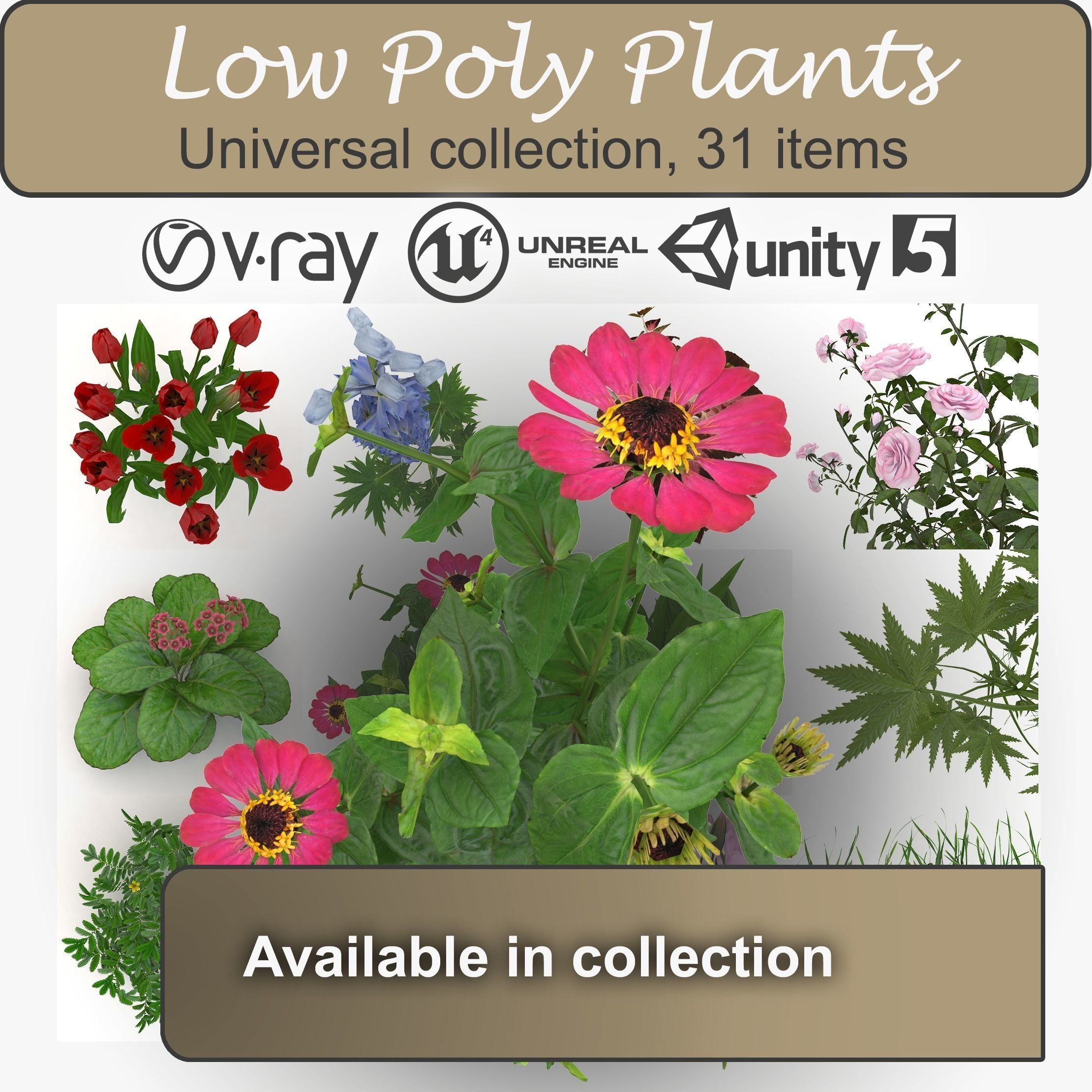 Dahlia tall universal plant Low-poly 3D model_4