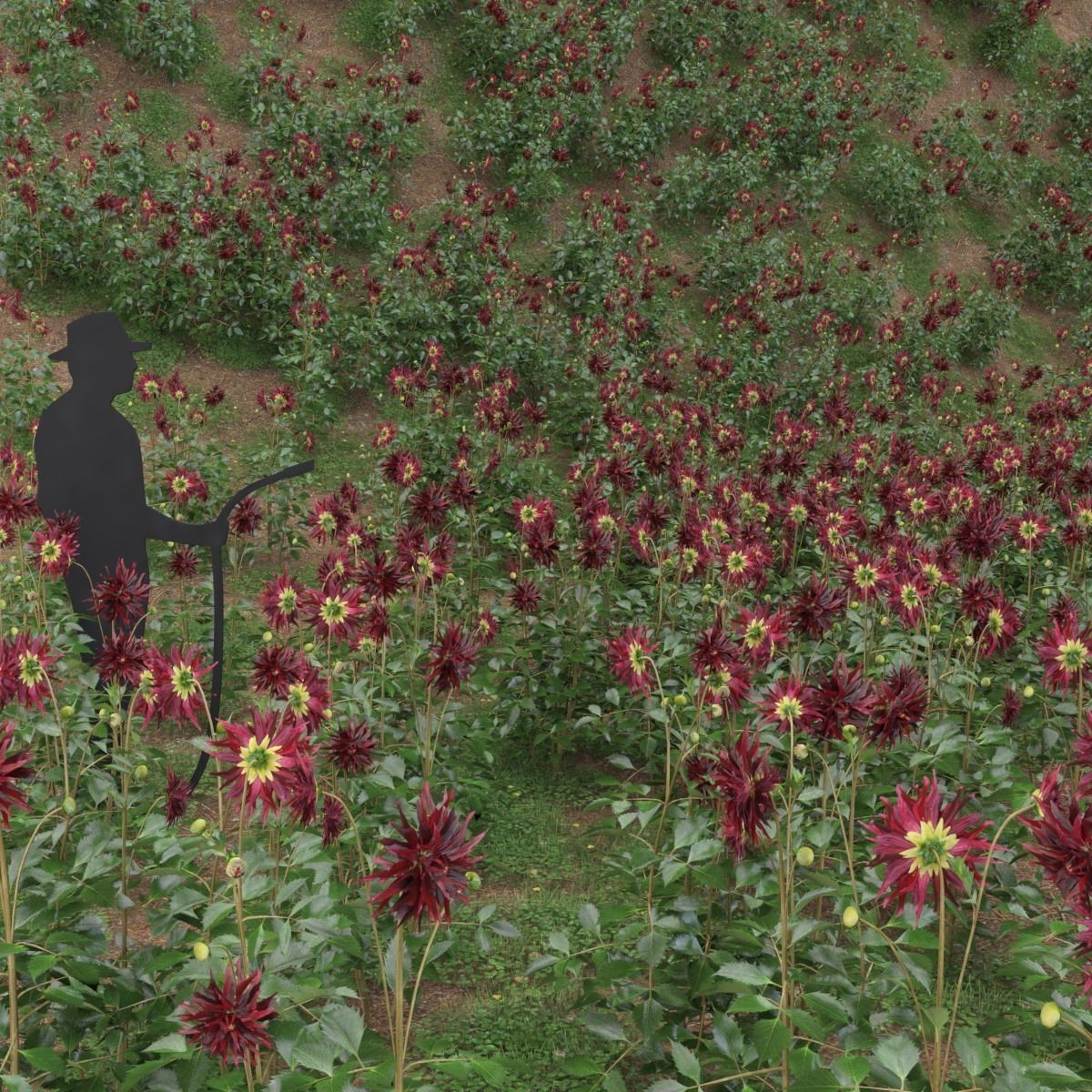 Dahlia tall universal plant Low-poly 3D model_1