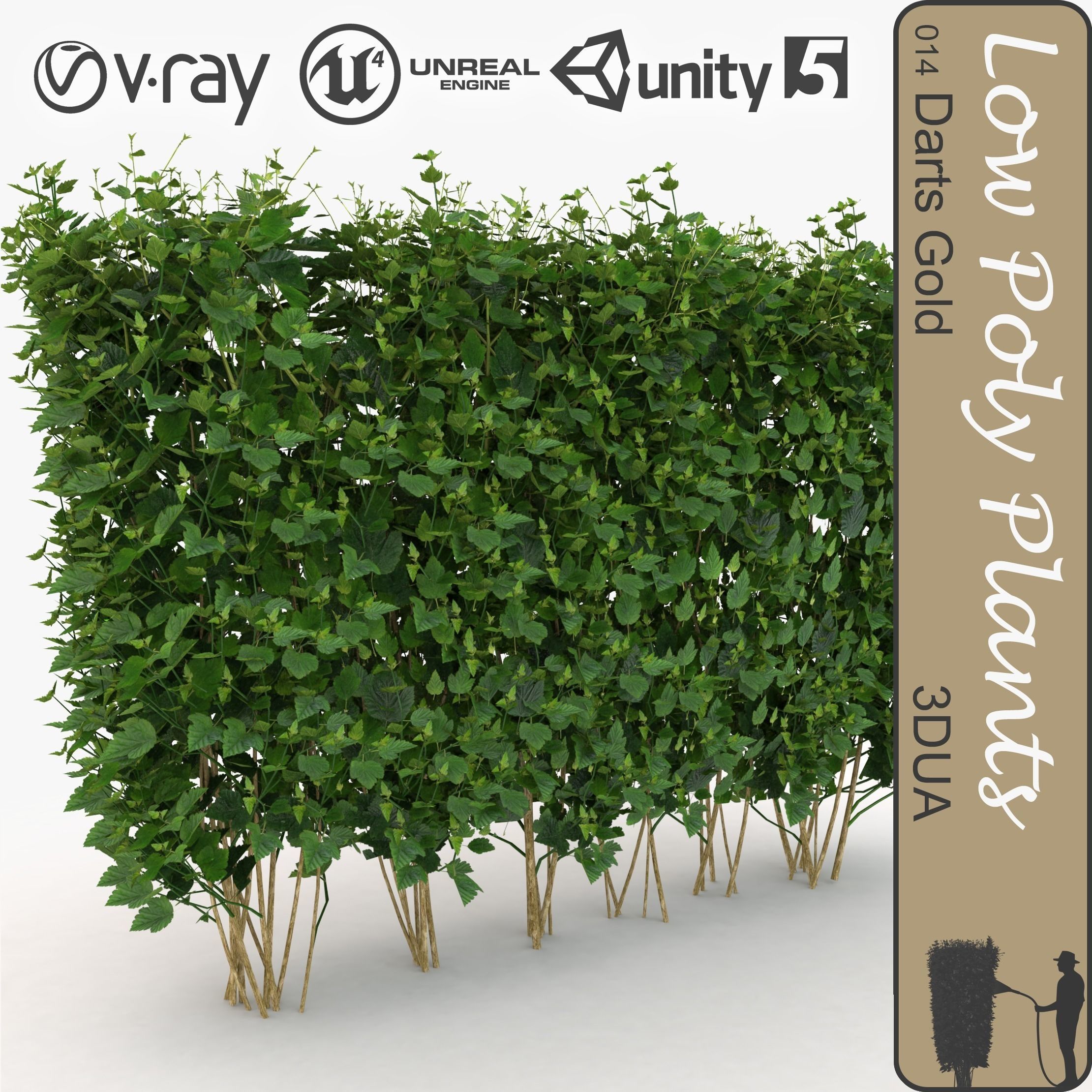 Darts gold universal fence plant with LODs Low-poly 3D model_0