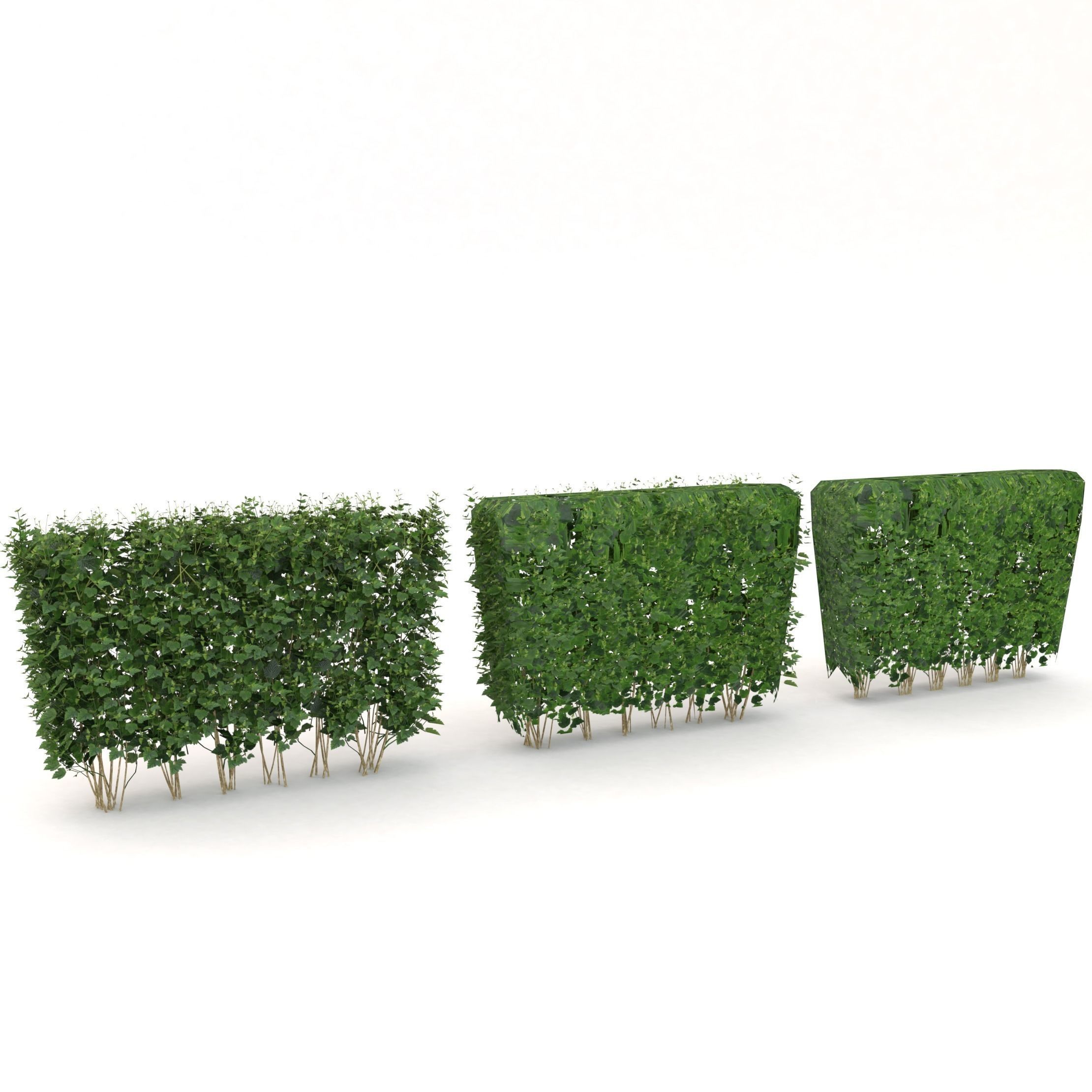 Darts gold universal fence plant with LODs Low-poly 3D model_5