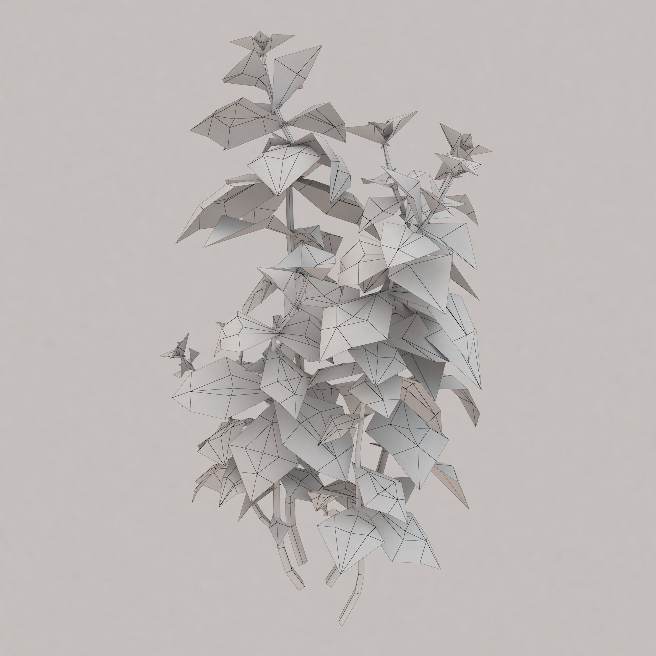 Coleus universal plant Low-poly 3D model_3