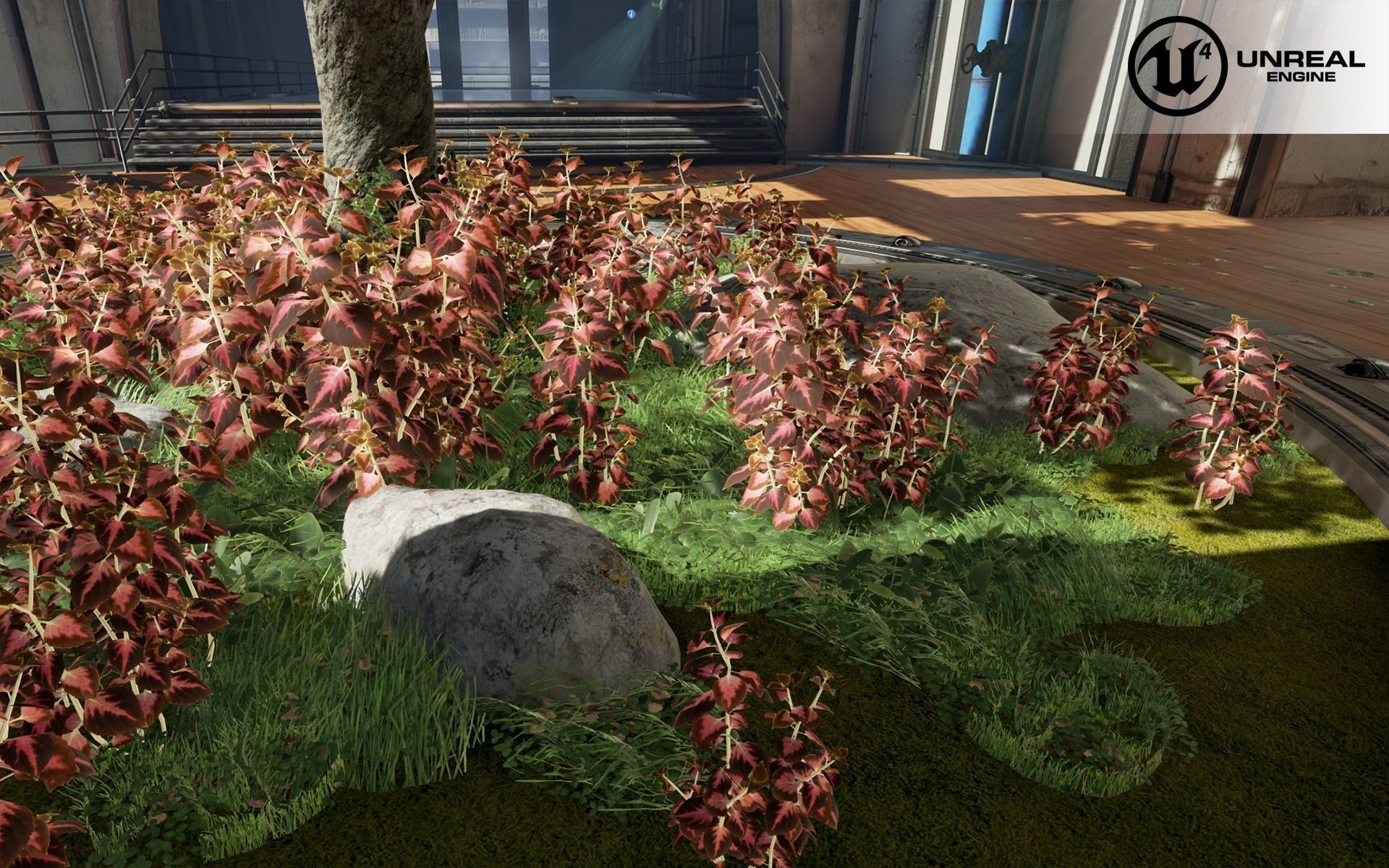 Coleus universal plant Low-poly 3D model_1