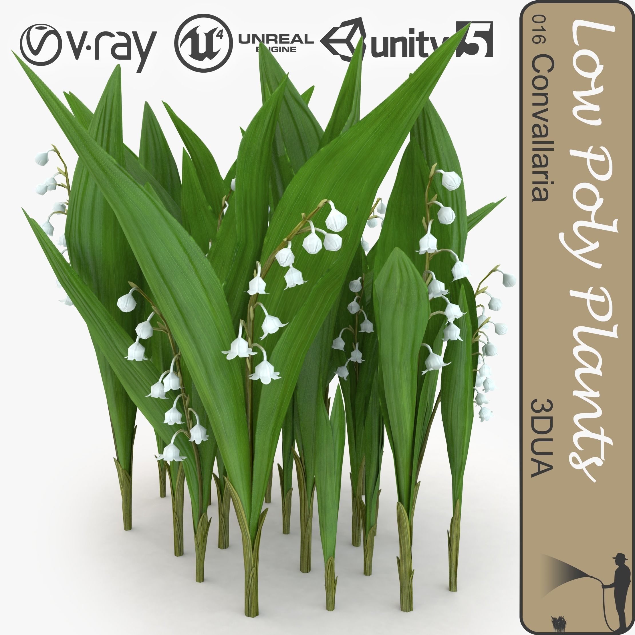 Convallaria universal plant Low-poly 3D model_0