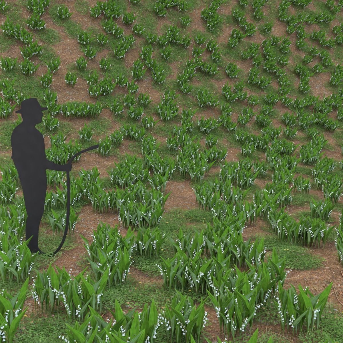 Convallaria universal plant Low-poly 3D model_2