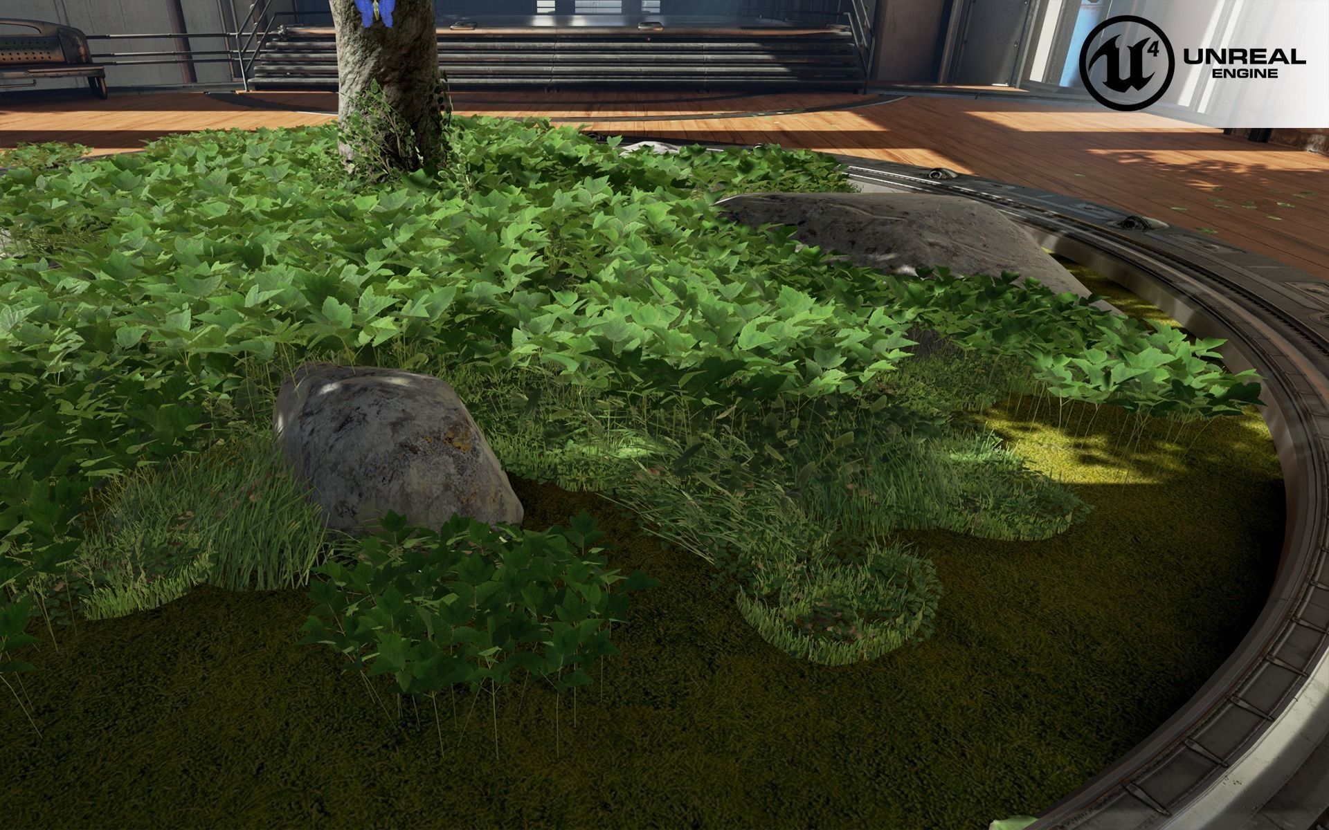 Aegopodium ground filler Low-poly 3D model_2