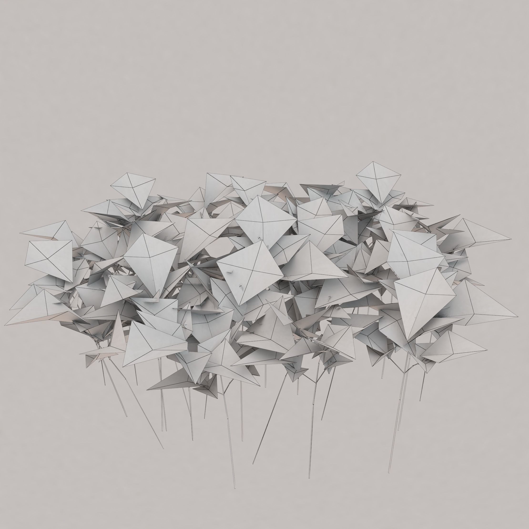 Aegopodium ground filler Low-poly 3D model_3