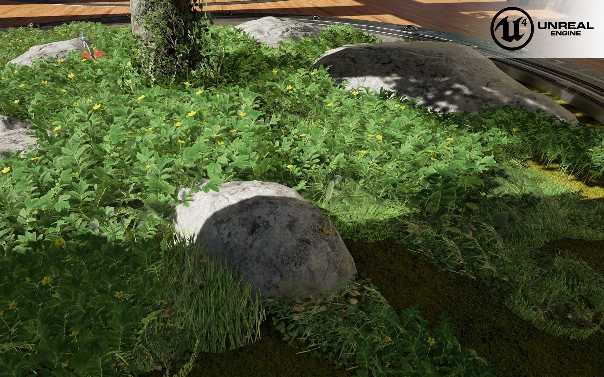 Silverweed ground filler plant Low-poly 3D model_1