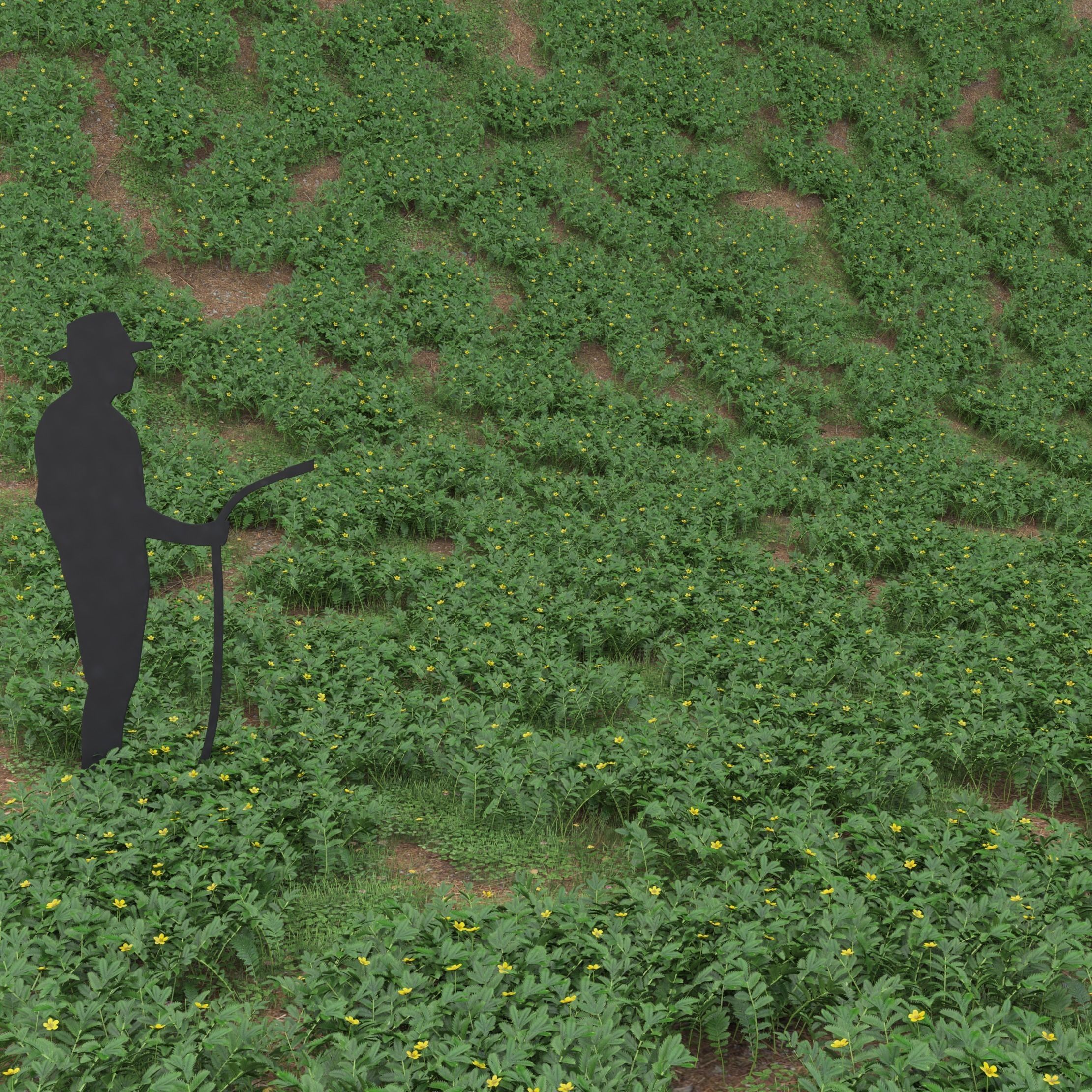 Silverweed ground filler plant Low-poly 3D model_2