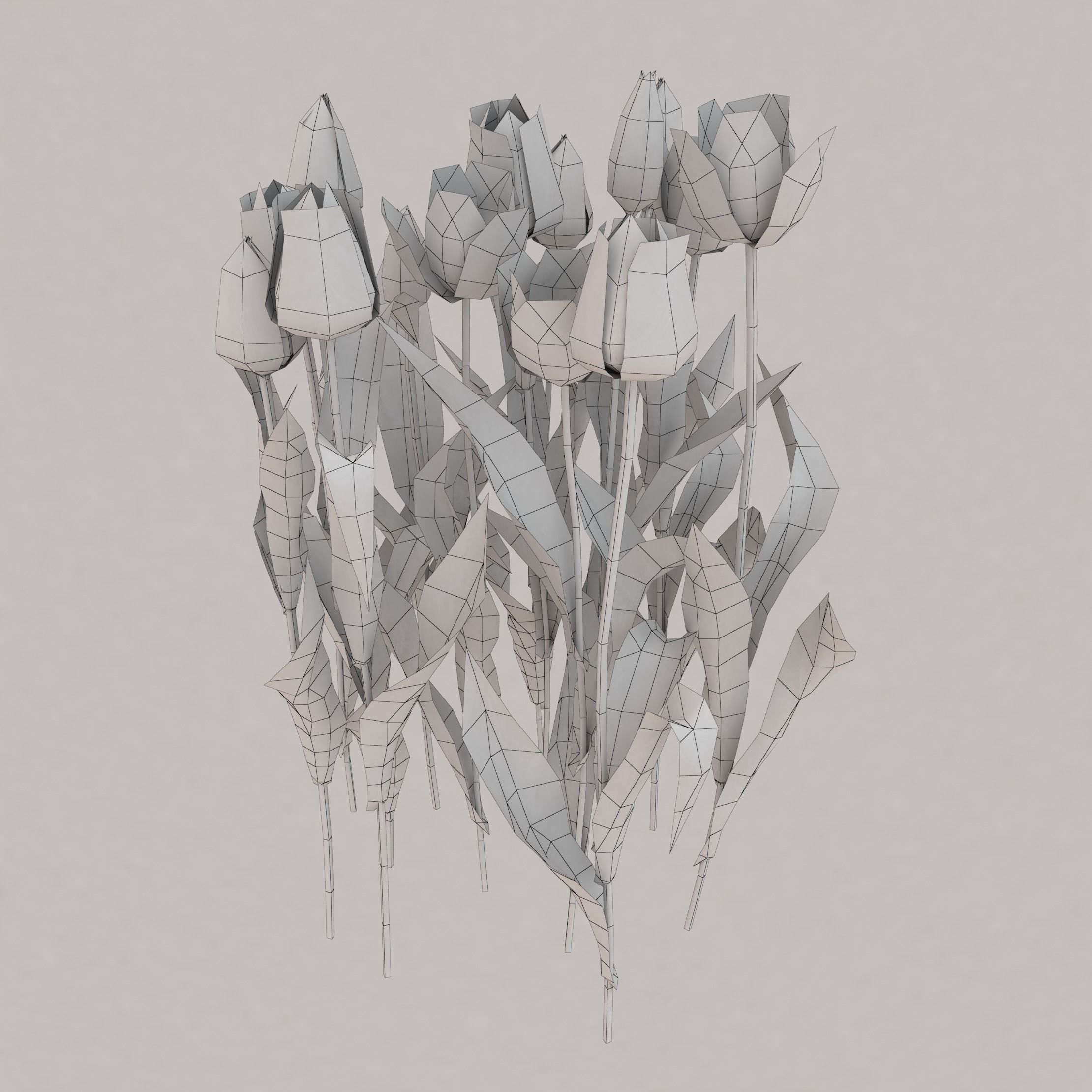 Tulips universal plant Low-poly 3D model_3
