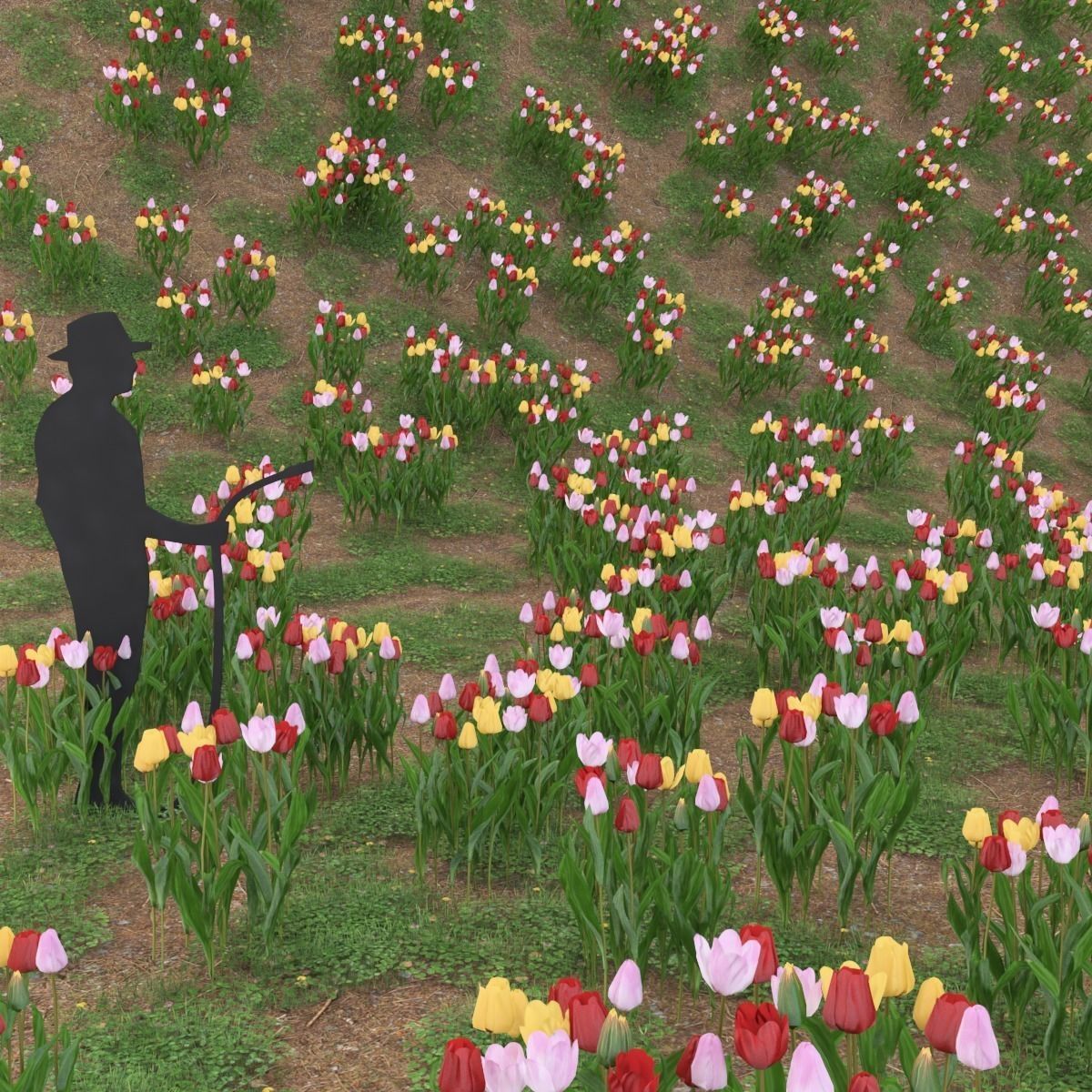 Tulips universal plant Low-poly 3D model_2