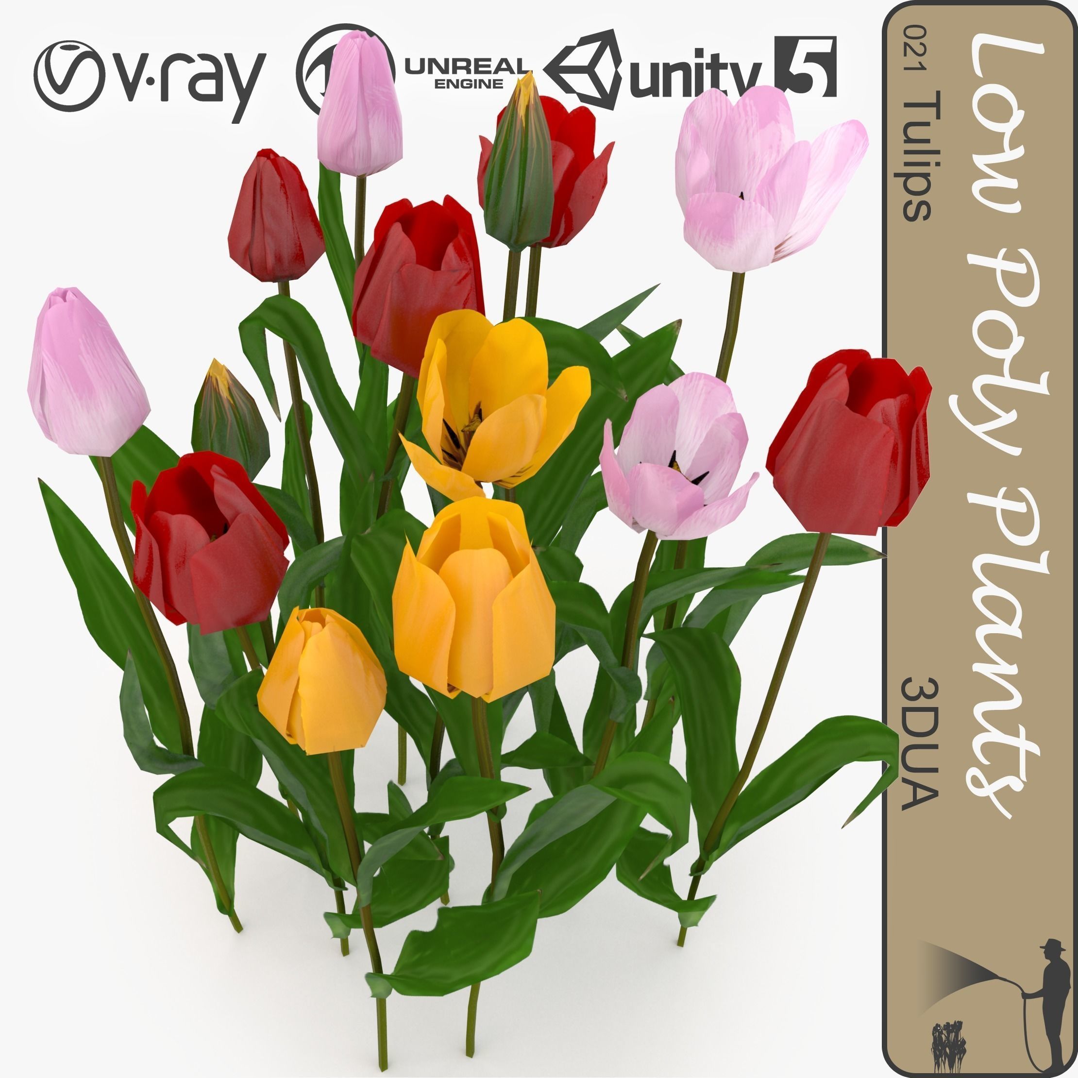Tulips universal plant Low-poly 3D model_0