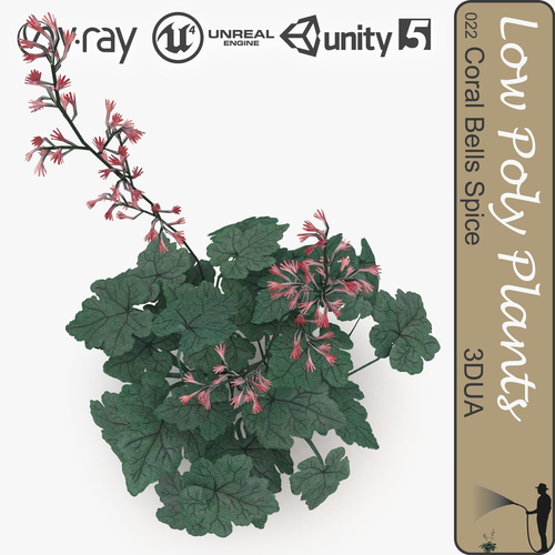 Coral bells spice universal plant Low-poly 3D model